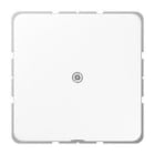 JUNG - Tapa con salida cable / caja conexión teléfono blanco alpino