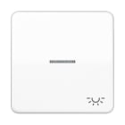 JUNG - Tecla con visor símbolo luz CD500 blanco alpino