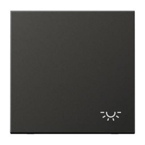 JUNG - Tecla para mecanismo simple símbolo luz antracita