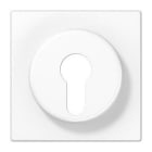 JUNG - Placa para llave blanco alpino