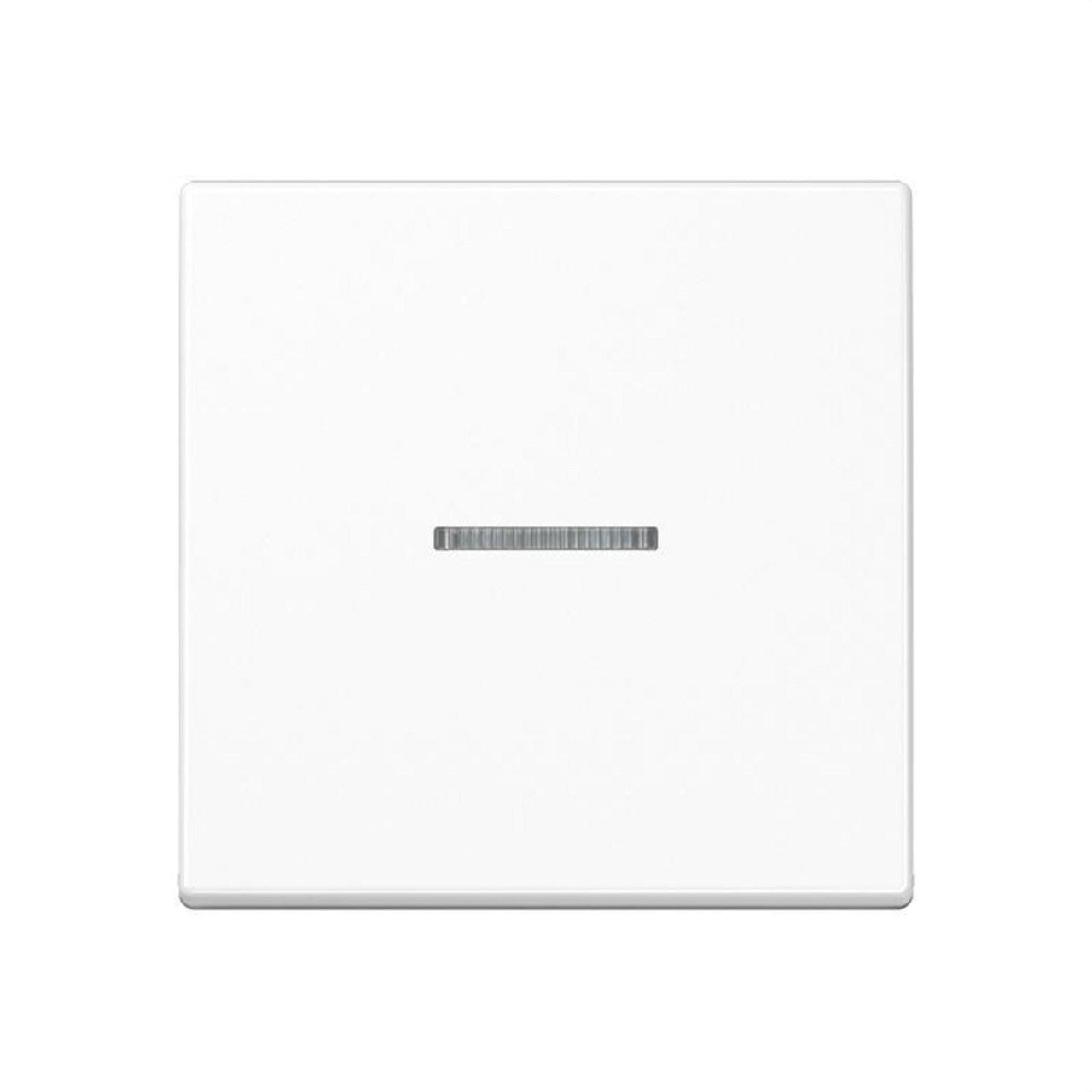 JUNG - Tecla simple visor interruptor pulsador A500 blanco alpino