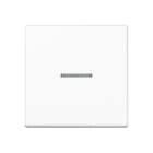 JUNG - Tecla simple visor interruptor pulsador A500 blanco alpino