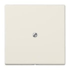 JUNG - Placa salida cable soporte metálico blanco marfil