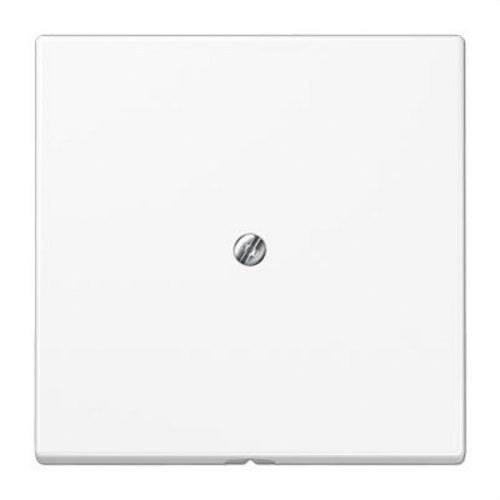 JUNG - Placa salida cable soporte metálico blanco alpino