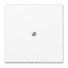 JUNG - Placa salida cable soporte metálico blanco alpino