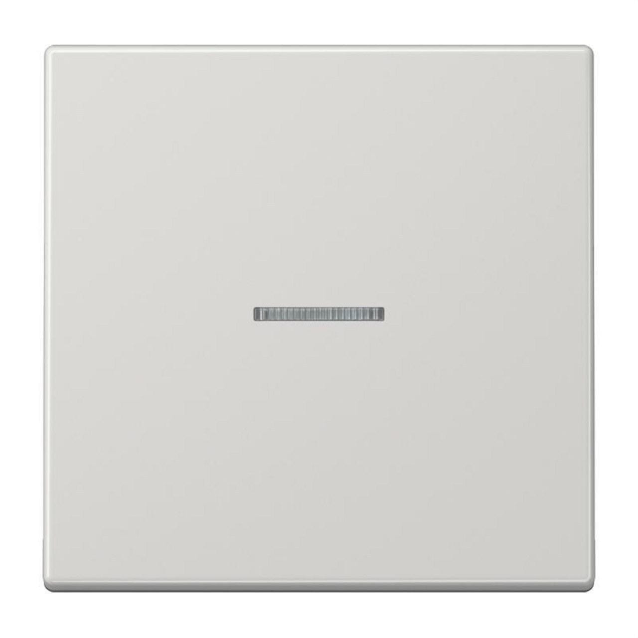 JUNG - Tecla KNX con visor gris claro