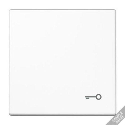 JUNG - Tecla símbolo puerta LS990 gris