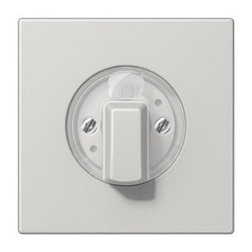 JUNG - Placa central interruptor gris claro