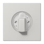 JUNG - Placa central interruptor gris claro
