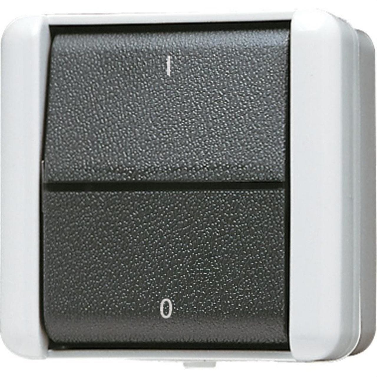 JUNG - Interruptor bipolar con tecla 10A 250V WG800