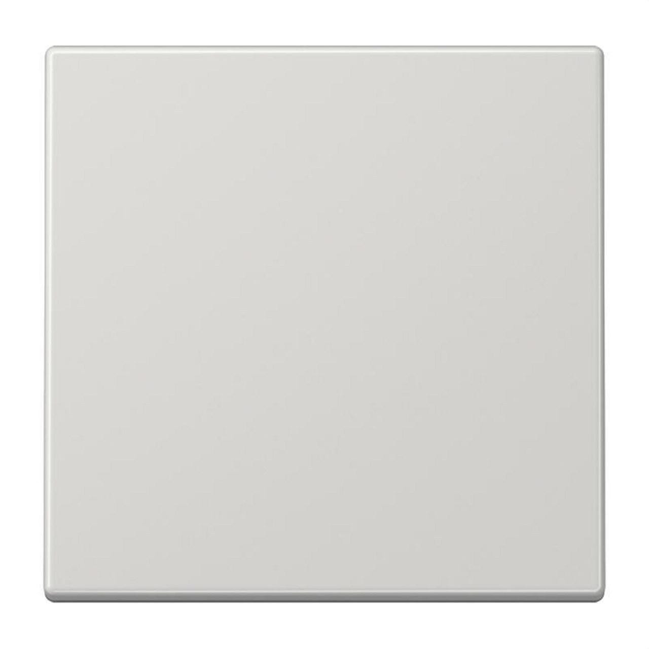 JUNG - Tecla para interruptor conmutador gris claro