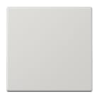 JUNG - Tecla para interruptor conmutador gris claro