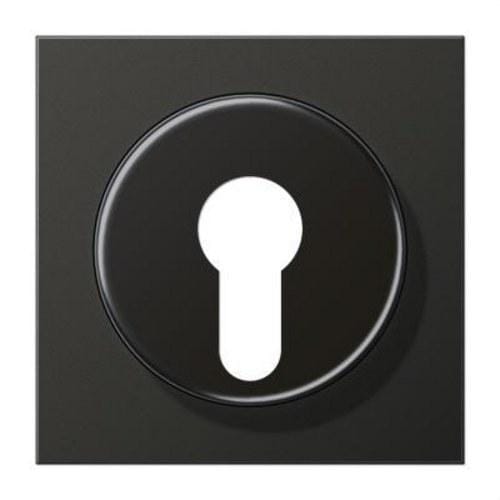 JUNG - Placa central para mecanismo llave antracita