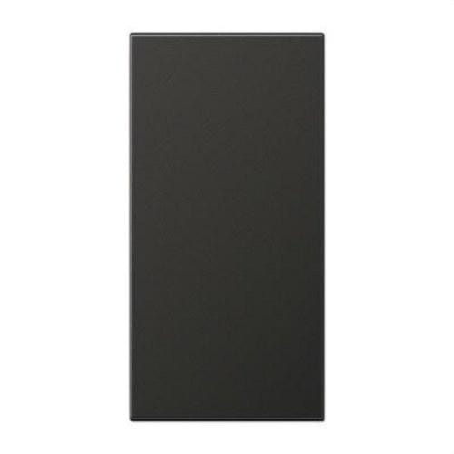 JUNG - Tecla con regleta inscripción con regleta inscripción 22x48mm antracita