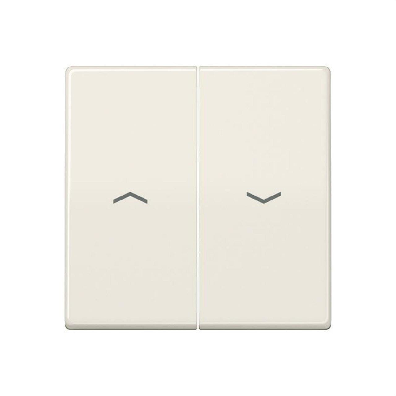 JUNG - Tecla para interruptor pulsador persiana placa central blanco marfil