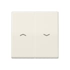 JUNG - Tecla para interruptor pulsador persiana placa central blanco marfil