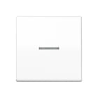 JUNG - Tecla con visor para mecanismo simple placa central blanco