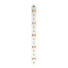 PRILUX - Tira LED IMAGINE WAS IP20 19,2W 24V 10mm CRI80 5m