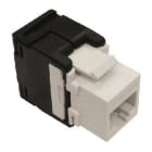BJC - Conector SCHRACK modular RJ45 Cat.6 en blanco