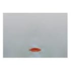 BJC - TECLA PULSADOR LUZ CON DIFUSOR SERIE CORAL BEIGE