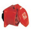 Uña del pulgar Imagen del producto 1