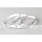 BLUELED - Metro tira flexible BLUE LED 3528 24V 9,6W 400-410Nm IP20 morado
