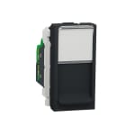 Schneider Electric - Toma RJ45 categoría 6 UTP 1 modulo antracita