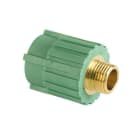 ALIAXIS - TERMINAL ROSCA M 25x3/4"