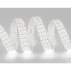 TSL - Tira flexible ROWS 1SMD2835 480Led/m 6000K IP20/N 6.100lm/m 25mm