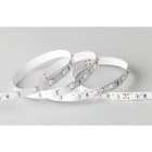 BLUELED - Tira flexible BLUE LED 3528 24V 9,6W 400-410Nm IP20 morado (rollo 5 metros)