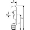 Uña del pulgar 6543987_12 4