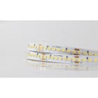 ILUTREK - Tira LED Nora 19,2W/m IP20 160 leds/m 3040SMD alta eficiencia 3000K CRI 80 (1m)