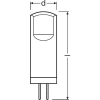 Uña del pulgar 7031403_2 2