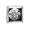 Uña del pulgar Imagen del producto 1