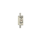 FERRAZ SHAWMUT - NH 000 100A 500V GG