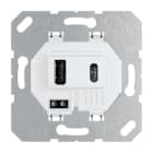 JUNG - Cargador USB con 1 toma USB tipo A y 1 toma USB tipo C blanco alpino