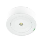 ZEMPER - Luminaria de emergencia SPAZIO PLUS Autotest 150lm NP 2h de autonomía (ZX)
