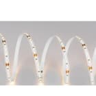 TSL - Tira flexible BONE 7 SMD2835 120 LED/m 12W/m 24VDC 3.000K IP20/N 1.200lm/m CRI>80 10mm