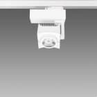 FOSNOVA - FOCUS 1035 COB 4800 39W CELL-D-D BLANCO