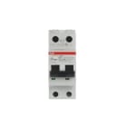 ABB - Interruptor conmutador DS200 1P+N C 110A AC 10kA 30mA