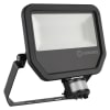 Uña del pulgar Imagen del producto 1