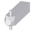 Uña del pulgar Imagen del producto 1