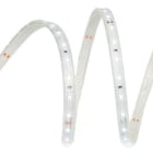 TSL - Tira flexible BAST 8 rollo 5 metros SMD2835 60 LED/m 4,8W/m 24VDC 2.700K IP20/N 510lm/m CRI>80 8mm