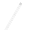 Uña del pulgar Imagen del producto 1
