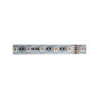 NEXIA - Tira flexible IP20 blanco FRÍO 60 leds 19,2 W RGB/930lm 5m