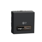 Schneider Electric - Cargador rápido USB 3.0 New Única 18W antracita