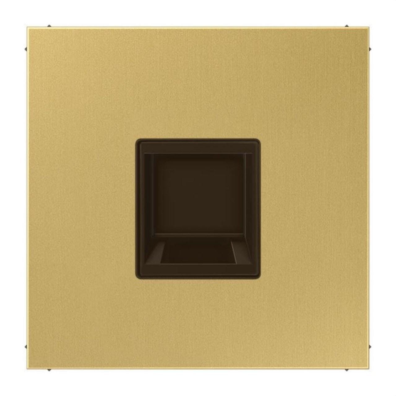 JUNG - Placa modular Jack-Radiall 1 toma LS latón claro