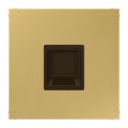 JUNG - Placa modular Jack-Radiall 1 toma LS latón claro