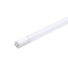 OPPLE - Tubo LED P T8 glass 16W 4000K 1200mm 100pct