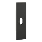 BTICINO - Frontal base datos HDMI Living Now - Dark - 1 módulo